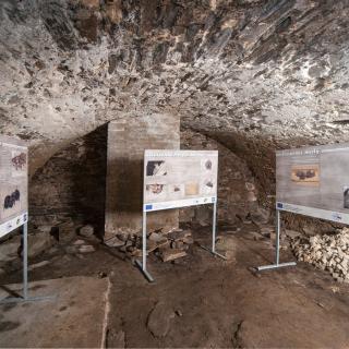 Radniční sklepení je zimovištěm netopýrů