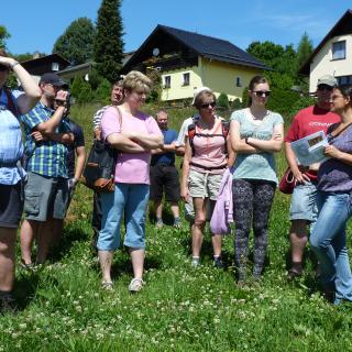 Lokalita na Prádle u úpravny zlaté rudy