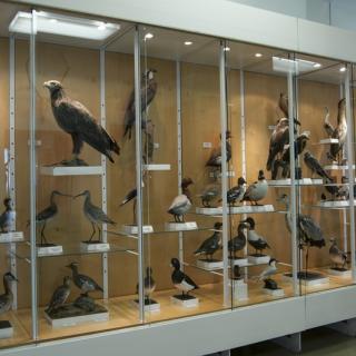 Zoologická expozice