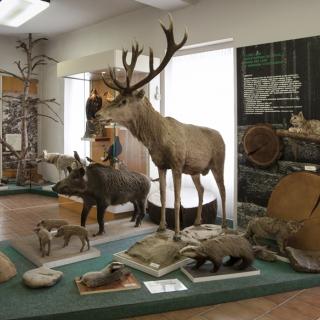 Zoologická expozice