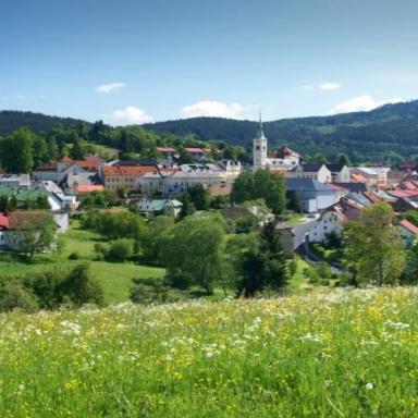 Cestou z parkoviště na Kašperk