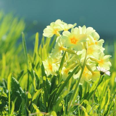 Výroba tašek s jarní tematikou