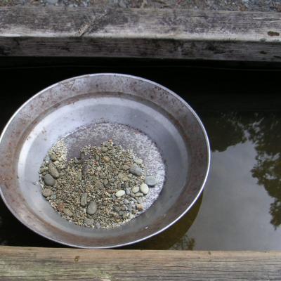 Po stopách zlatokopů