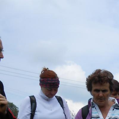 Rostliny, keře a stromy a jejich místo v kuchyni