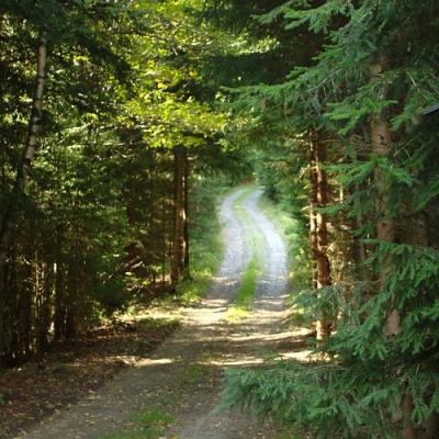 Kolem Kepelského Zhůří