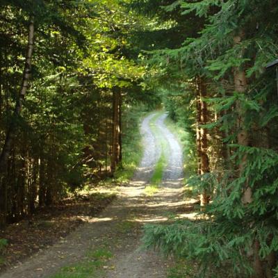 Letní vycházka za přírodou a historií