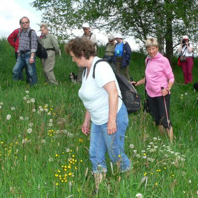 I plevele mají krásné květy