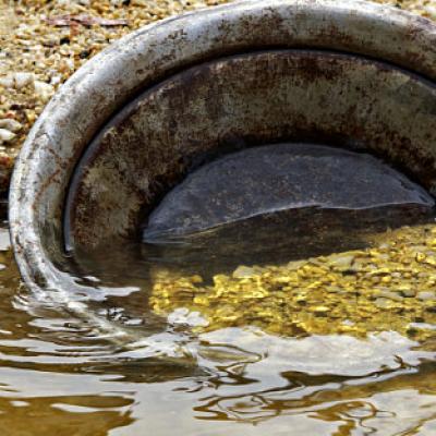 Po stopách zlatokopů