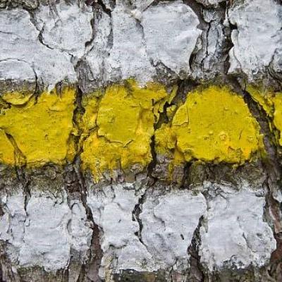 Po stopách savců Kašperskohorska