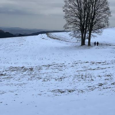 Odysea soudního sluhy