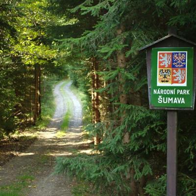 Po stopách šumavských zálesáků