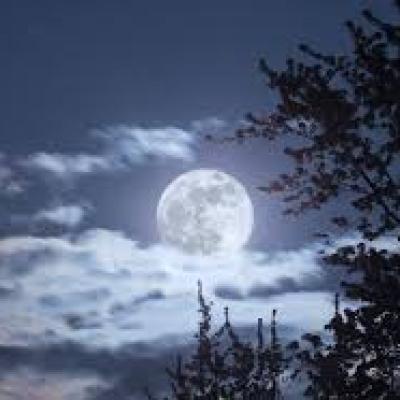 Měsíc, náš nejbližší soused