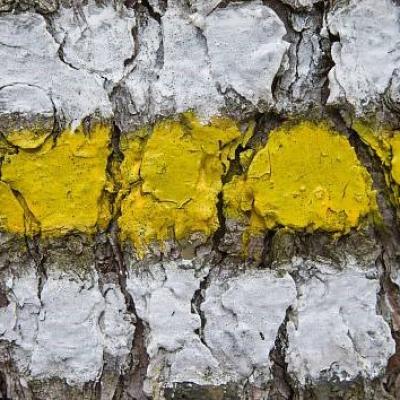 Po stopách savců Kašperskohorska