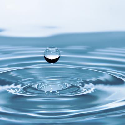 Život pro mokřady aneb vracíme vodu krajině