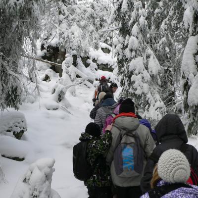 Vycházka na sněžnicích – Modrava a okolí