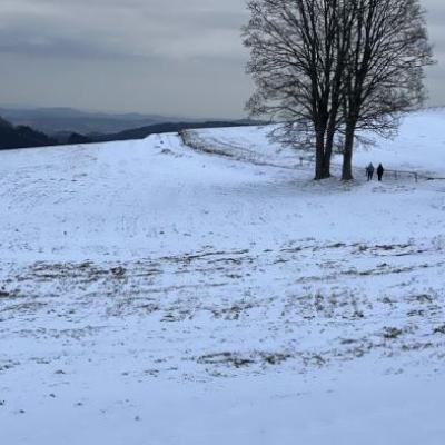 Odysea soudního sluhy