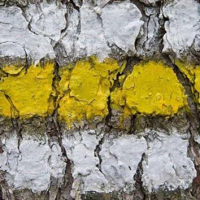 Po stopách savců Kašperskohorska