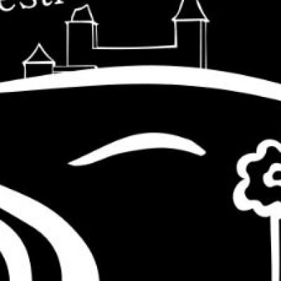 Novoroční závod v orientačním běhu