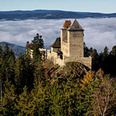 Za zlatým rounem a královskou pečetí