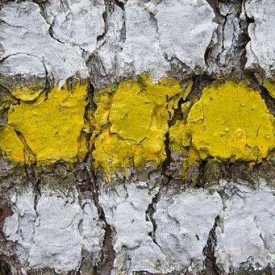 Po stopách savců Kašperskohorska