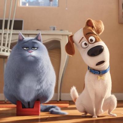 Tajný život mazlíčků