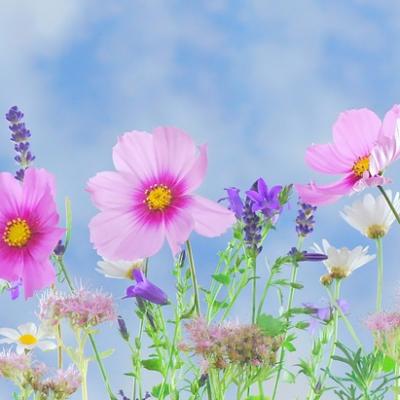 Vítání svátků jara