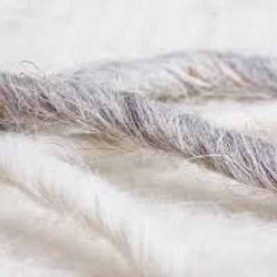 Z ovčína - tvořivá dílna