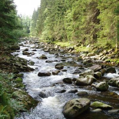 Letní vycházka za přírodou a historií