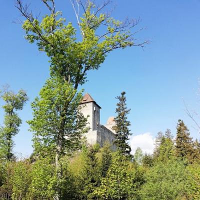 Běh kolem Lišáku a běh na Kašperk