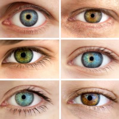 Beseda – Irisdiagnostka