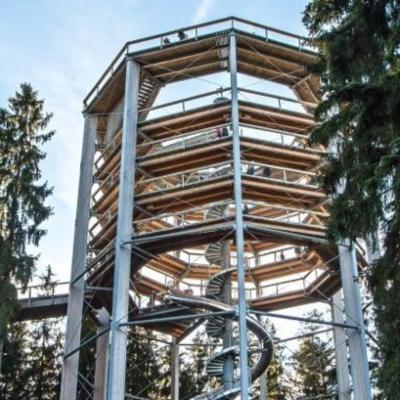 VÝLET S JONÁŠEM - Stezka korunami stromů Lipno