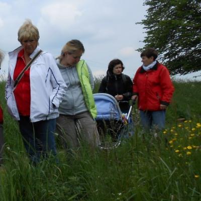 Letní vycházka za přírodou a historií