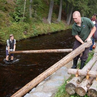 Historie vorařství na Šumavě