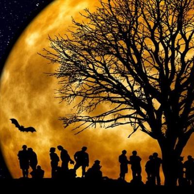 LETNÍ KINO - ČERVENEC