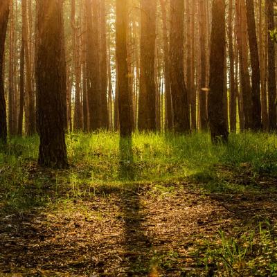 Evropský den národních parků