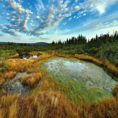 Fotoobrazy moje Šumava