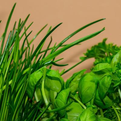 Farmářské a řemeslné trhy