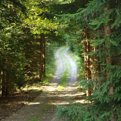 Kolem Kepelského Zhůří