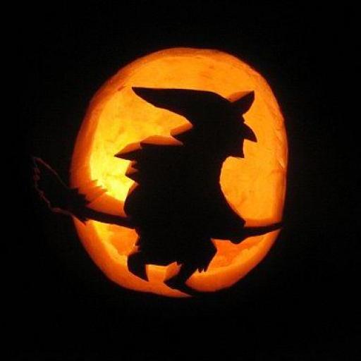 Stavění májky a pálení čarodějnice