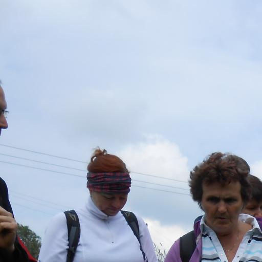 Rostliny, keře a stromy a jejich místo v kuchyni