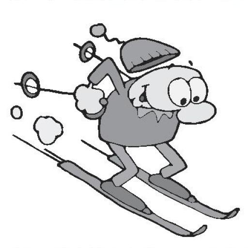 Lyžařské závody v obřím slalomu