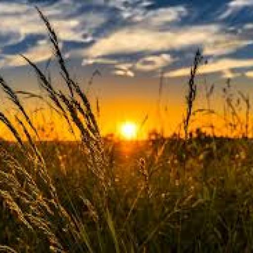 Rozloučení s létem