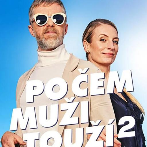 Po čem muži touží 2