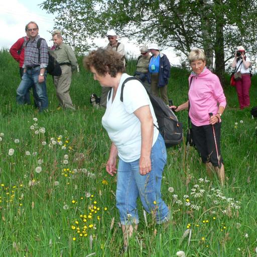 I plevele mají krásné květy