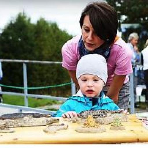 Den národního parku Šumava