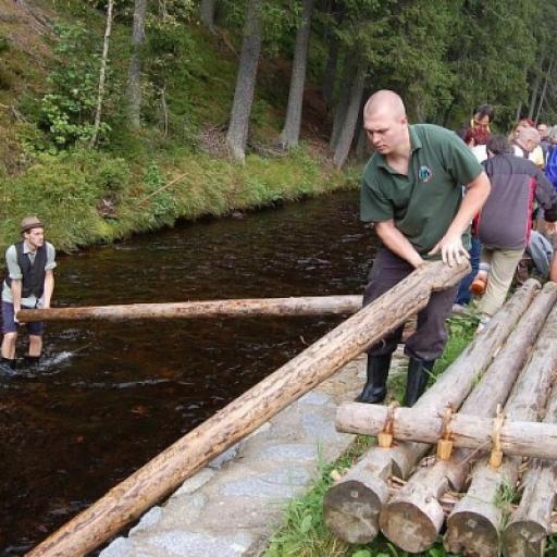 Historie vorařství na Šumavě