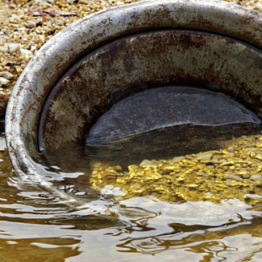 Po stopách zlatokopů