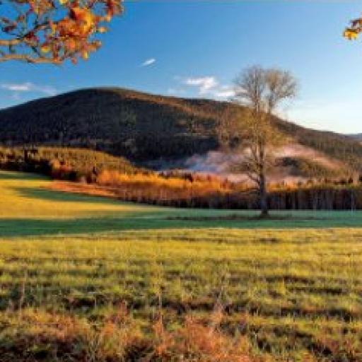 Pohledy do krajiny - Šumava čarovná