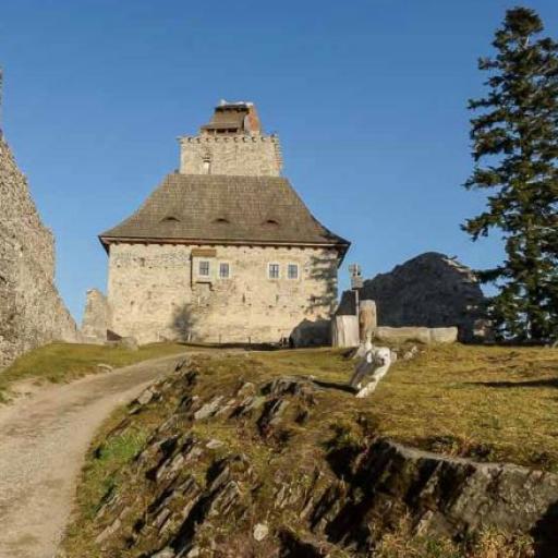 (Nejen) středověké bylinkářství a přežití v přírodě