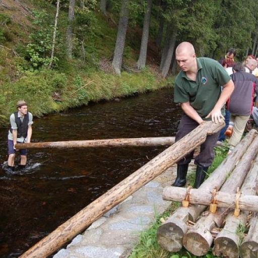 Historie dřevařství na Šumavě